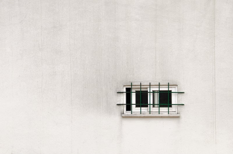 Vertical Garden Wall